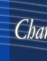 Logo Banner